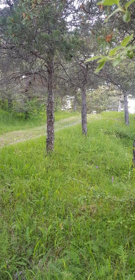 Saint-Martin-de-Clelles Camping La Chabannerie酒店 外观 照片