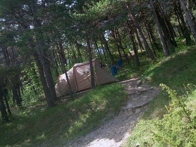 Saint-Martin-de-Clelles Camping La Chabannerie酒店 外观 照片
