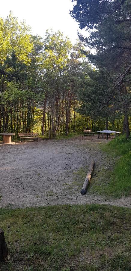 Saint-Martin-de-Clelles Camping La Chabannerie酒店 外观 照片