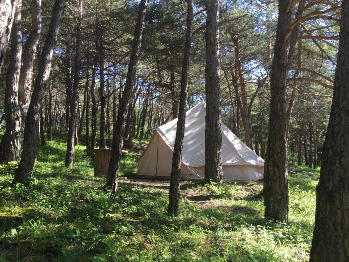 Saint-Martin-de-Clelles Camping La Chabannerie酒店 外观 照片